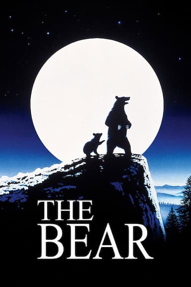 The Bear
