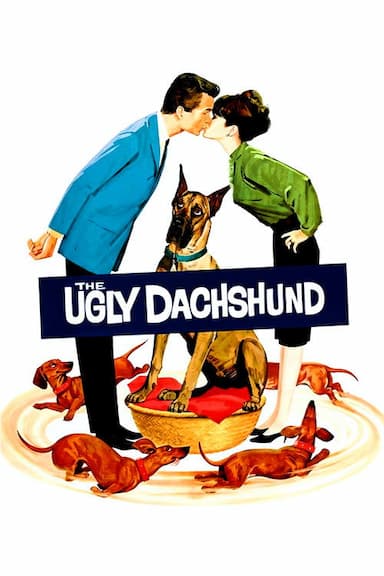 The Ugly Dachshund