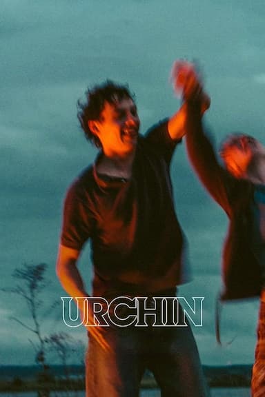 Urchin