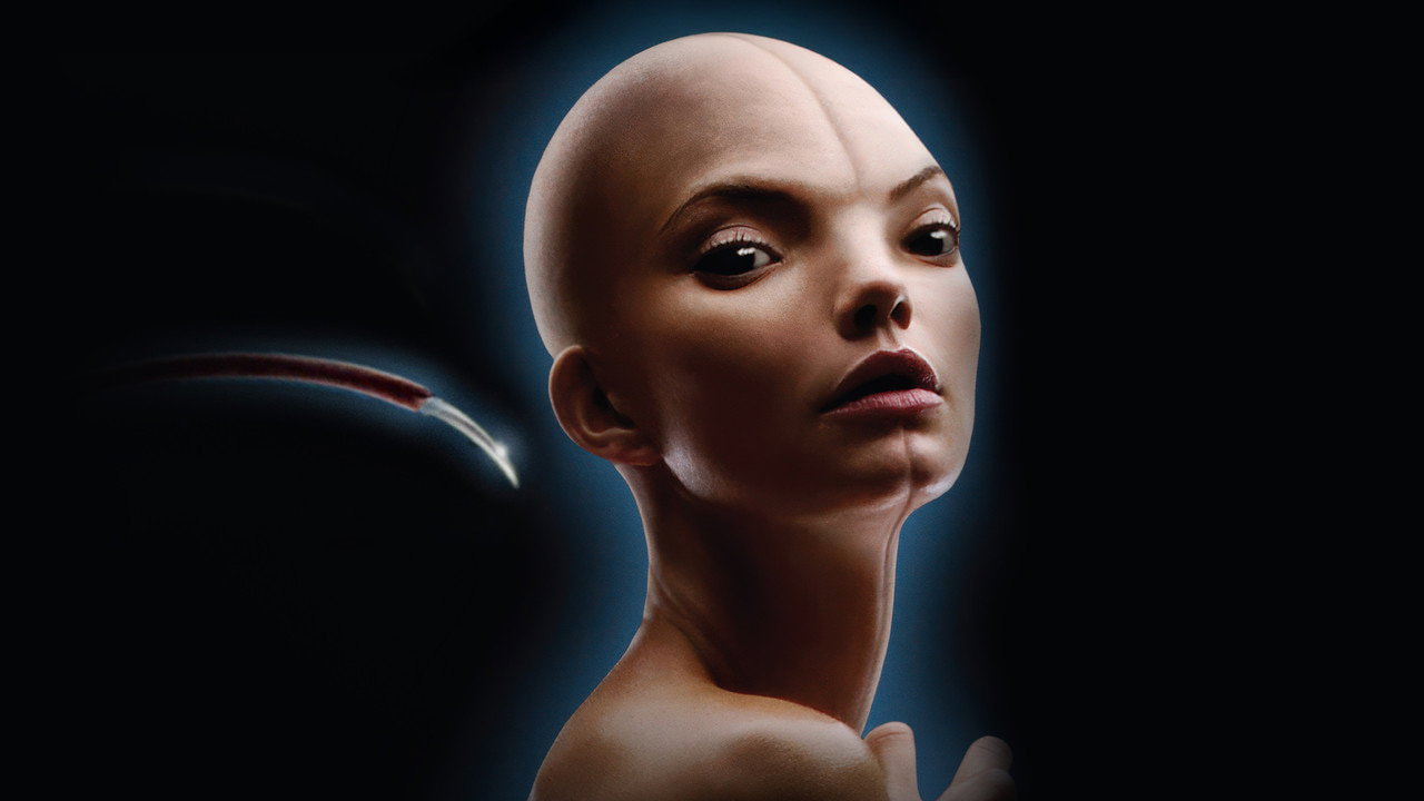 Splice