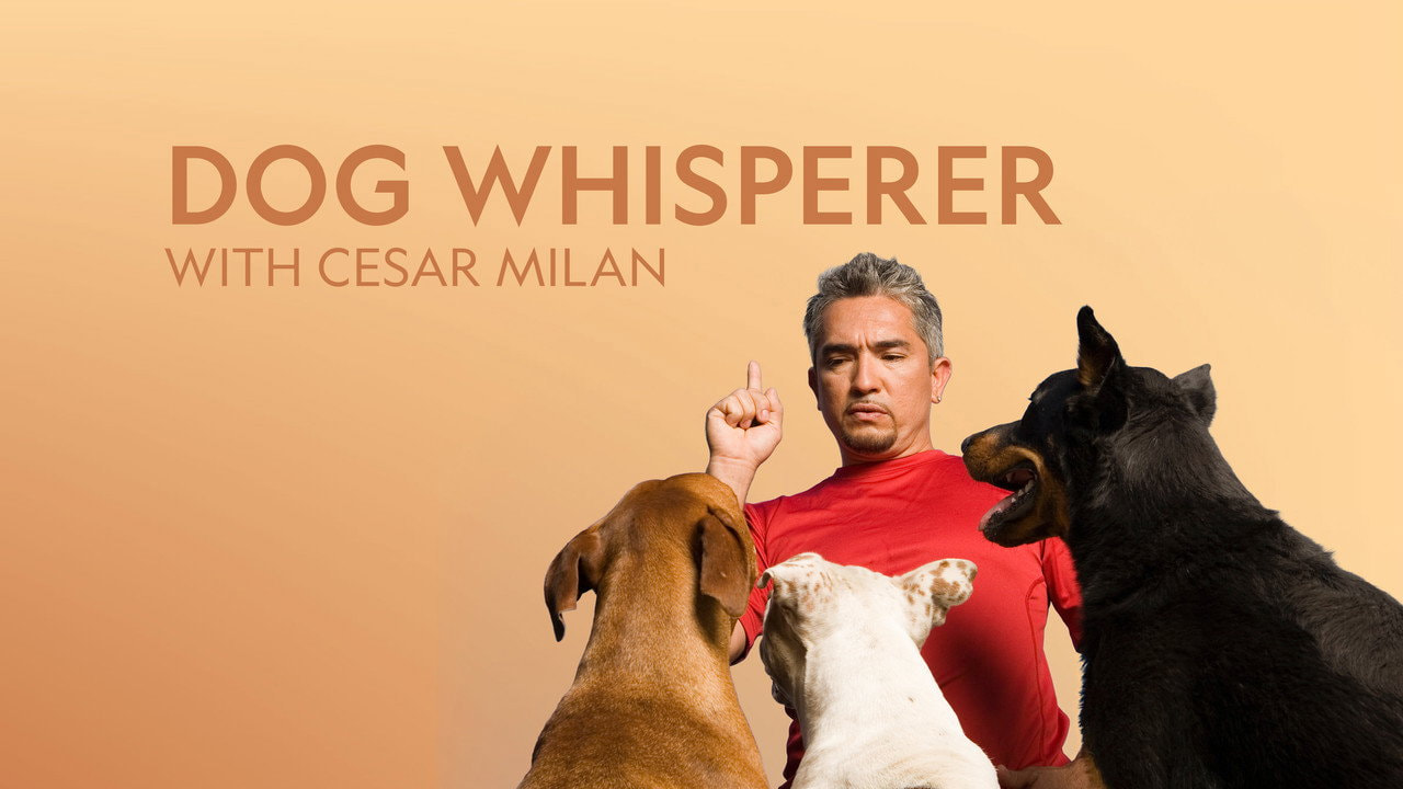 Dog Whisperer