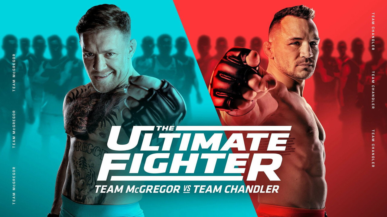 The Ultimate Fighter