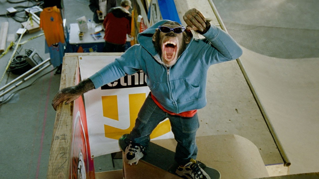 MVP 2: Most Vertical Primate