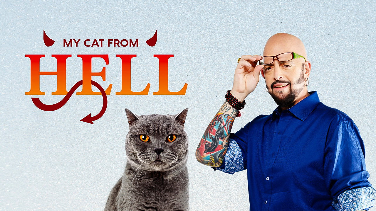 My Cat from Hell