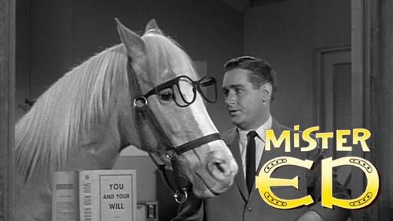Mister Ed