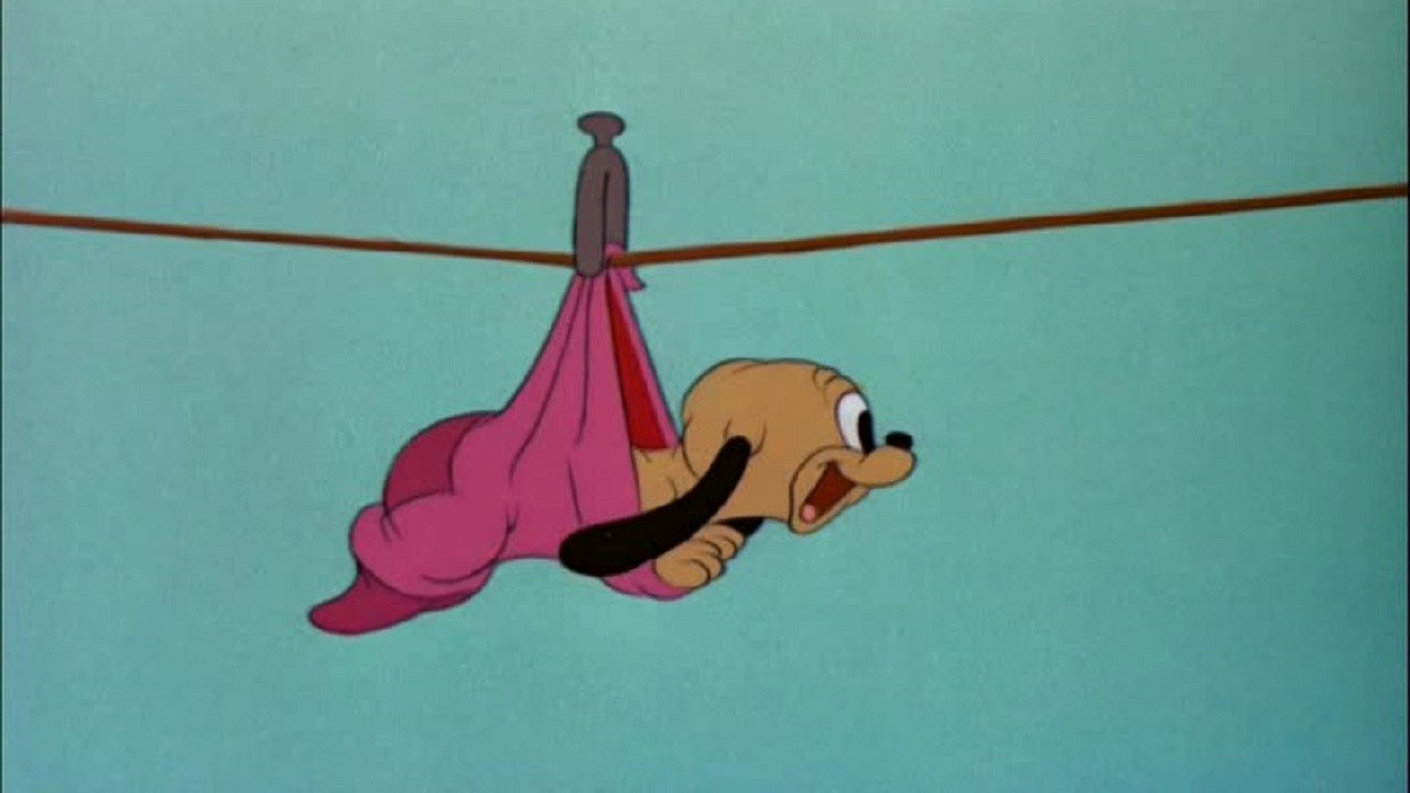 Pluto Junior